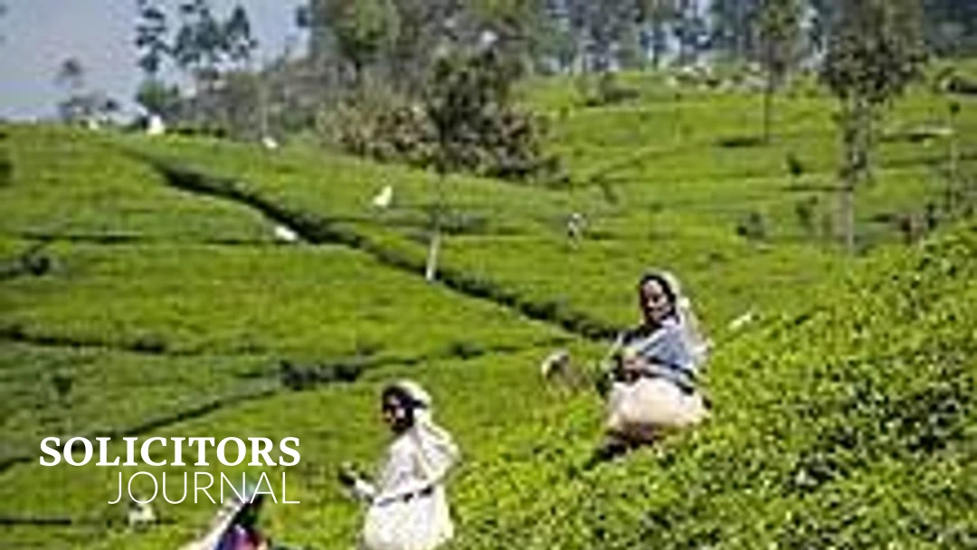 UN and coalition of NGOs write to Unilever to voice deep concern regarding victims of violence at Unilever tea plantation - Vimarsana News