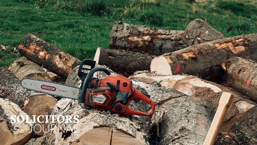 Two men sentenced for tree felling - Solicitors Journal