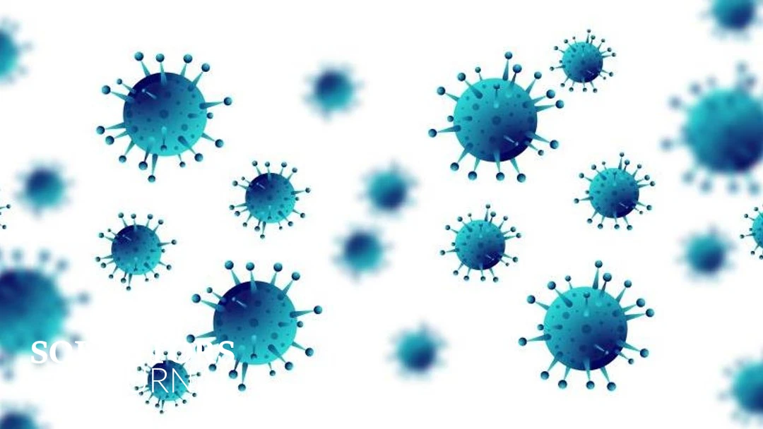 Increased risk of lockdown wills disputes - Solicitors Journal